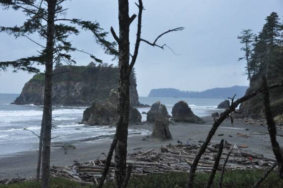 Chegando à selvagem Ruby Beach, no Olympic National Park, no estado de Washington, oeste dos Estados Unidos